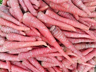 Close up shot of fresh pile of carrot.