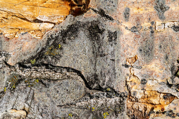 Wood abstract texture. Surface grunge backdrop. Dirty wooden effect pattern. Material background.