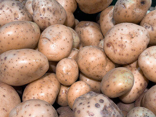 A pile of fresh brown potatoes with earthy textures.