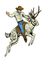 Fototapeta premium Jackalope
