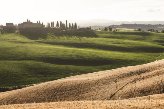View of golden fields rolling into verdant hills capped with a stately villa and cypress trees under a soft, hazy sky, San Quirico d'Orcia, Tuscany, Italy.