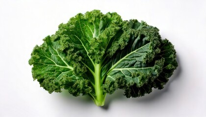 Fototapeta premium Fresh, Vibrant Green Kale Leaf Isolated on a Clean White Background for Culinary and Nutritional Concepts.