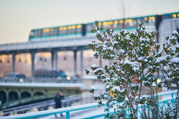 Snowy winter scene in Paris with a bush covered in fresh snow in the foreground and a metro train...