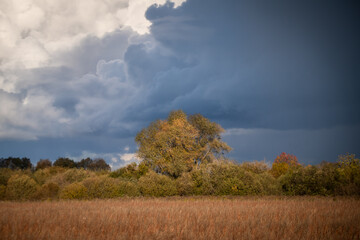 Fototapeta premium Selective focus photo. Dark clouds above meadow and waterspout in the sky.