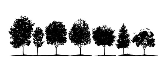 Vector set of hand drawn of silhouettes of trees white background.