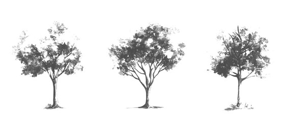 Vector set of hand drawn of silhouettes of trees white background.