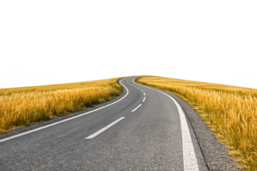 Winding road curving through a field of golden wheat, representing travel, future, and natural landscape. Transparent background