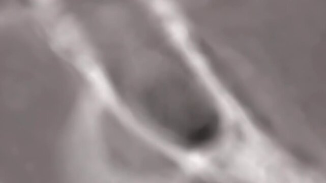 Medical scan reveals intricate internal structures of a human limb. Detailed view highlights complex biological tissues and forms.