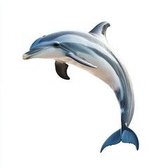 Obraz premium Graceful bottlenose dolphin jumping out of water isolated on white background