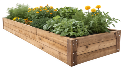 Lush Wooden Raised Garden Bed with Colorful Wildflowers and Spring Blooms Isolated on White