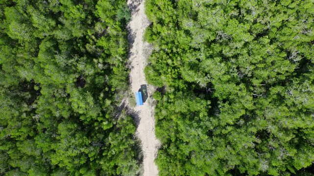Aerial drone footage from above, of a trike motorbike going on a muddy gravel and sandy long road, in the middle of a wide green forest, in a sunny weather, in Malaka regency, Timor island, Indonesia