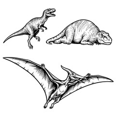 Different Dinosaur Outline Vector Set   Cute Prehistoric Dino Line Art Collection © mary