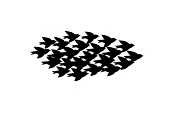 Silhouettes of flying birds forming an arrow shape, flocking together showing unity, teamwork, and migration concept