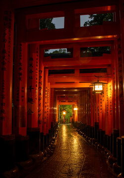 View of vibrant vermilion torii gates stretch into the distance, their reflections shimmering on the wet path, guiding the eye towards a soft glow, Kyoto, Kyoto, Japan.