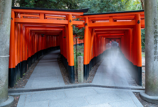 View of vibrant vermillion torii gates create a seemingly endless tunnel, drawing the eye into a mystical path, leading to an obscured destination, Kyoto, Kyoto, Japan.