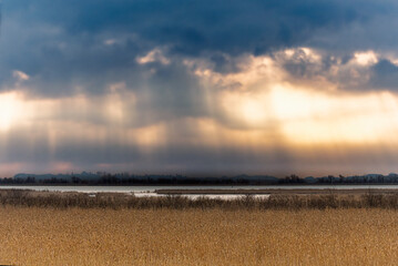 Camargue landscapes at dusk in winter