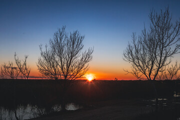 winter sunset in the Camargue