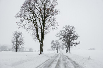 Schneebedeckte Landstra&szlig;e