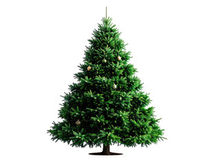 A decorated evergreen tree stands against a black background