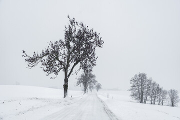 Schneebedeckte Landstra&szlig;e