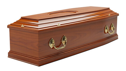 Elegant wooden coffin with golden handles and stitching
