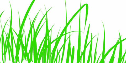 Fototapeta premium Green grass. The Bush grass. Vector illustration. Grass silhouette seamless pattern. Green grass meadow border vector pattern. Autumn summer plant field lawn.