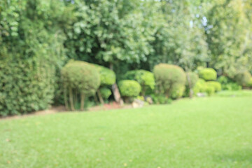 Abstract blur green park garden for background