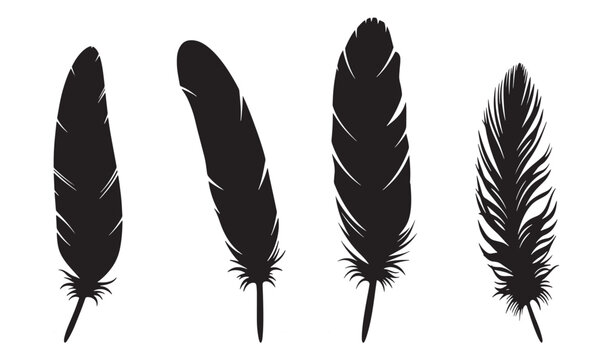 Elegant black feather silhouettes arranged on a white background for artistic design elements. Vector illustration.