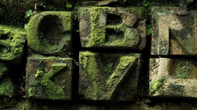 Minimal animated text flowing with soft motion concept. Weathered stone letters covered in green moss, evoking nature and decay.
