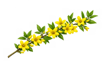 Forsythia branch with bright yellow flowers and green leaves symbolizing spring, awakening, and new growth