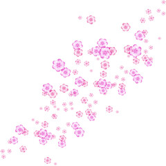 Obraz premium Pink Cherry Blossom Illustration