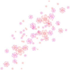 Pink Cherry Blossom Illustration