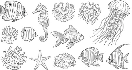 Vintage hand drawn sea life collection with jellyfish seahorse tropical fish starfish and coral reef elements for marine design © Sumona