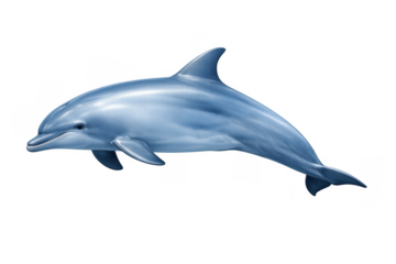 Dolphin swimming, an aquatic mammal with sleek blue skin, moving gracefully in marine wildlife environment, transparent background