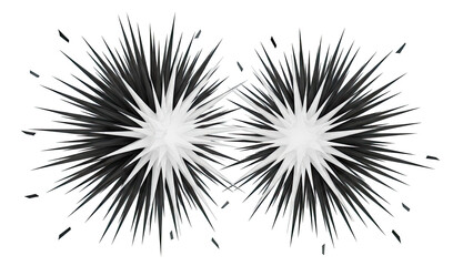 Dual Black and White Spiky Starburst Forms