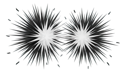 Dual Black and White Spiky Starburst Forms