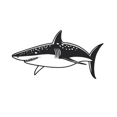 Fototapeta premium Great white shark illustration swimming with teeth showing in black and white vector drawing isolated on a white background
