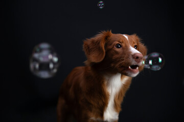 Zabawa z bąbelkami © Jagoda