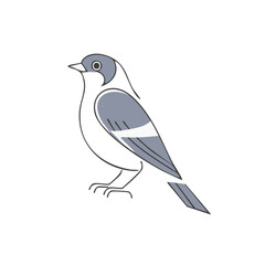 Obraz premium Stylized Gray and White Bird Illustration in Linear Design Isolated on White