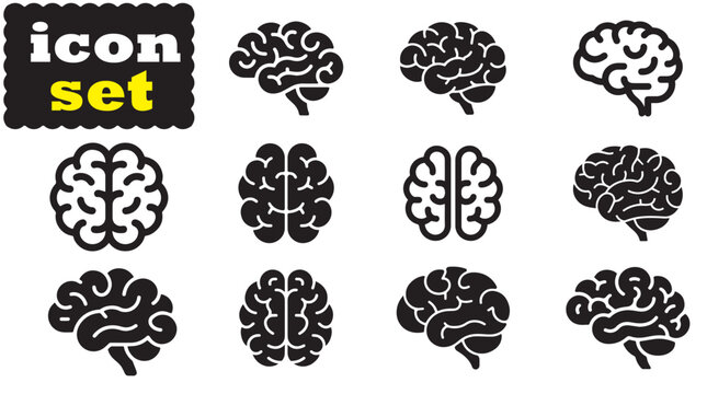 Brain icon Set, Brain solid Vector