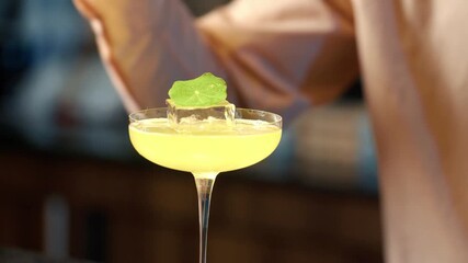 Professional bartender making cocktails step by step in a modern bar. Includes pouring, shaking, stirring, garnishing, and serving drinks. Perfect for food and beverage content