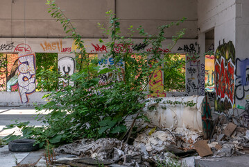 Arbre poussant au milieu d'un b&acirc;timent d'usine d&eacute;saffect&eacute;e
