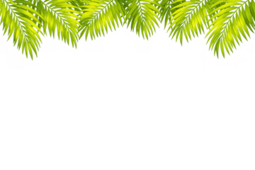 Green palm leaves creating a natural tropical frame, vibrant exotic foliage border with transparent background