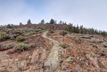 Obraz premium volcan Teide à Tenerife, archipel des canaries en Espagne