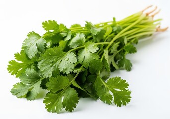 Fototapeta premium Fresh bunch of aromatic herbs lies diagonally across a clean white surface