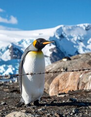 Fototapeta premium climate change