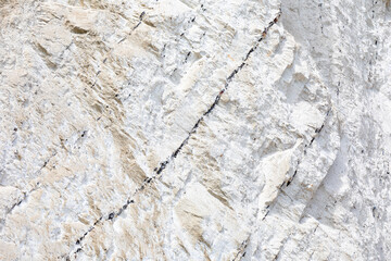 Mons Klint, Danmark, Birds nesting on the cliffs