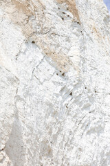 Mons Klint, Danmark, Birds nesting on the cliffs