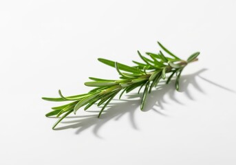 Fototapeta premium Single sprig of fresh green herb rests diagonally on a bright white surface