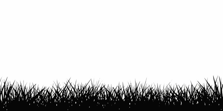 A simple black and white image depicting a patch of grassy ground
